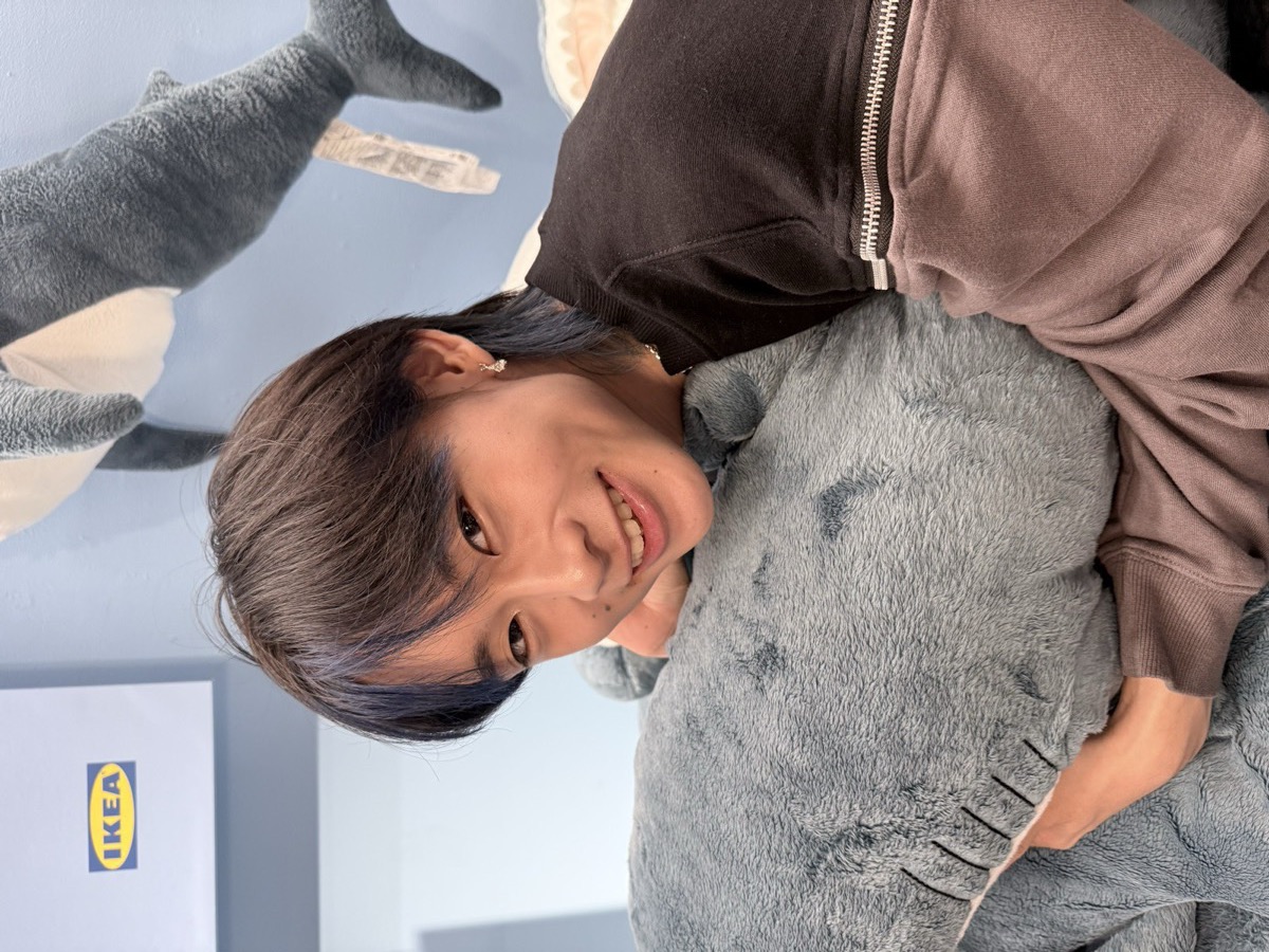 Holding a Blåhaj shark plush